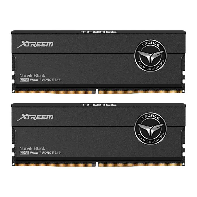 Team Group Kit 32GB (2 x 16GB) DDR5 7600MHz Xtreem Preto CL36