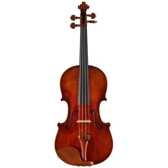 Eastman Strings VIOLINO 4/4 Amsterdam VL2AA