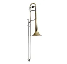 Trombone Roy Benson TT236 Dourado