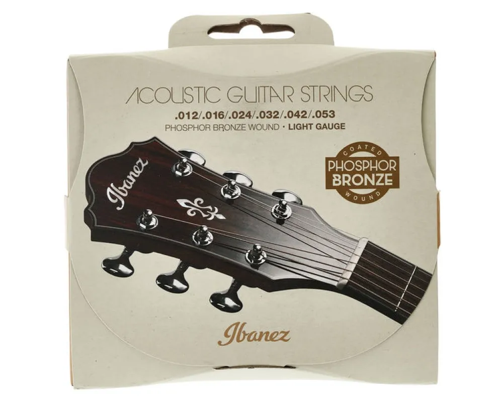 Ibanez IACSP6C Acoustic Steel Strings