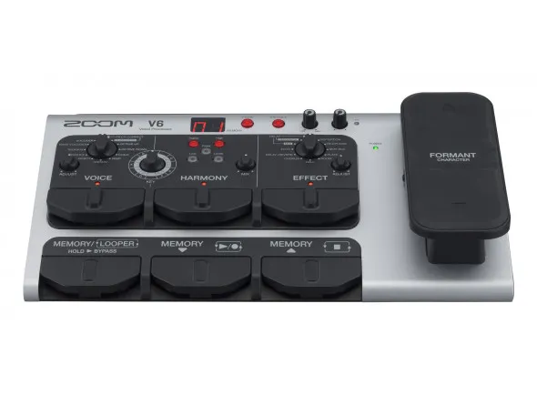 Zoom V6