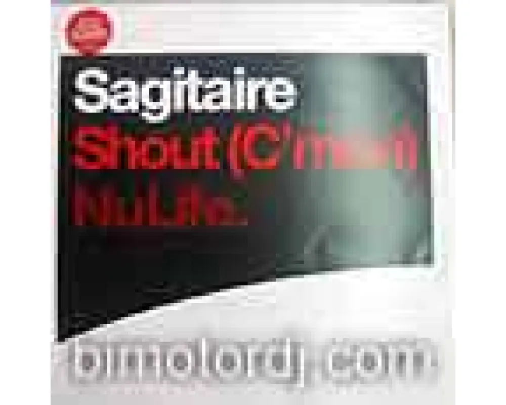 sagitaire - shout