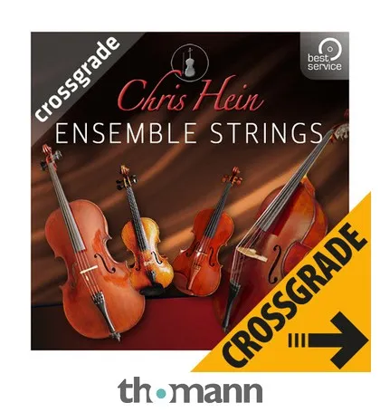 Best Service Chris Hein Ensemble Strings CG