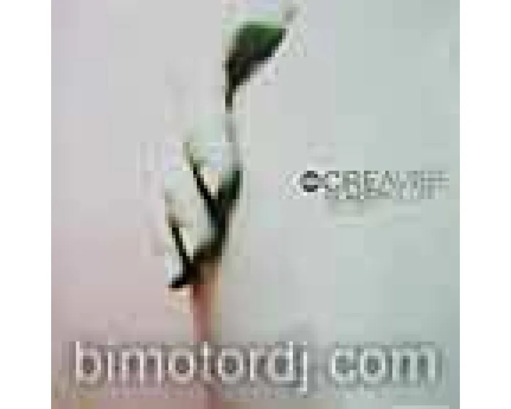 creavibe - wonderful life