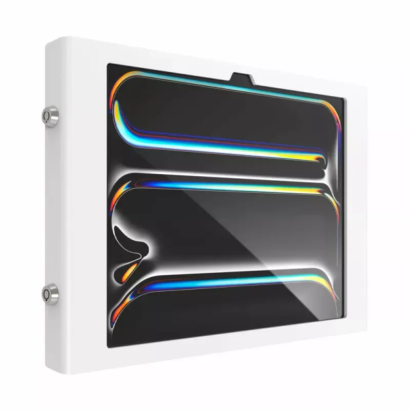 IPAD PRO M4 13IN (2024) APEX ACCS