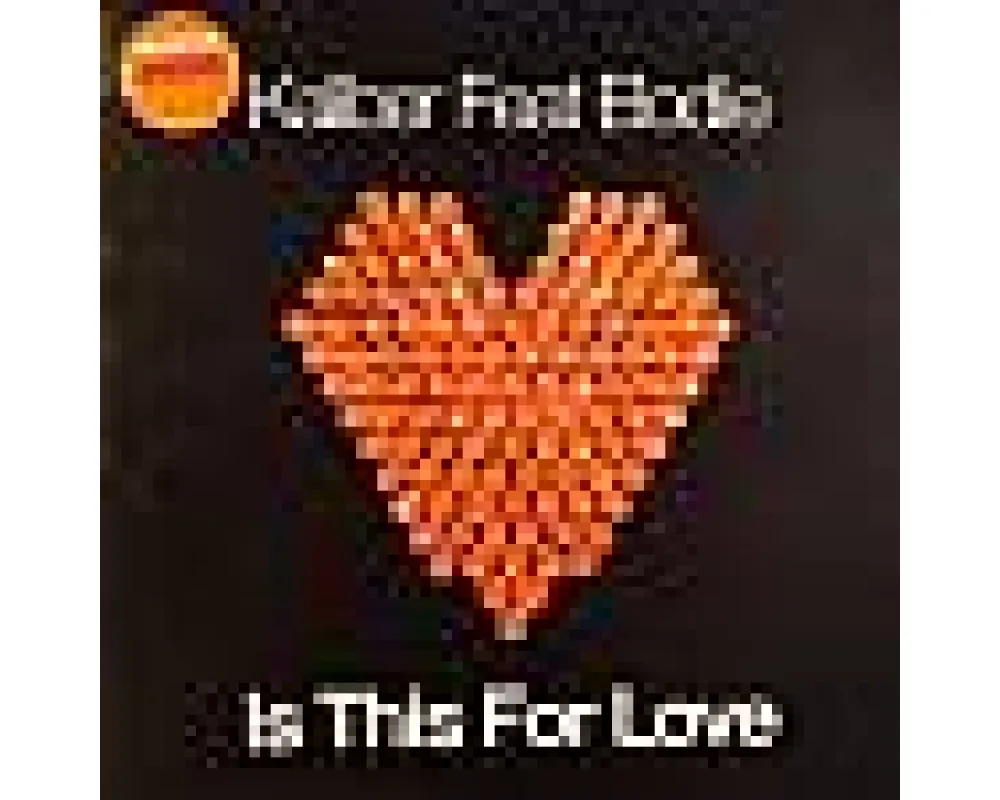 Kaliber feat Elodie - Is This For Love