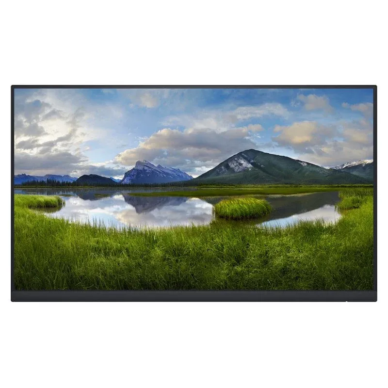 Monitor Dell P2422H 23.8" LED IPS FullHD Sem Base