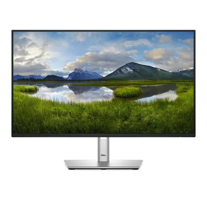 Monitor DELL P Series P2425HE 24" IPS FHD 100Hz Preto