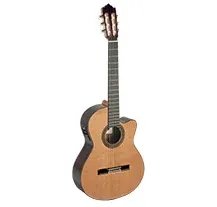 Paco Castillo 224CE