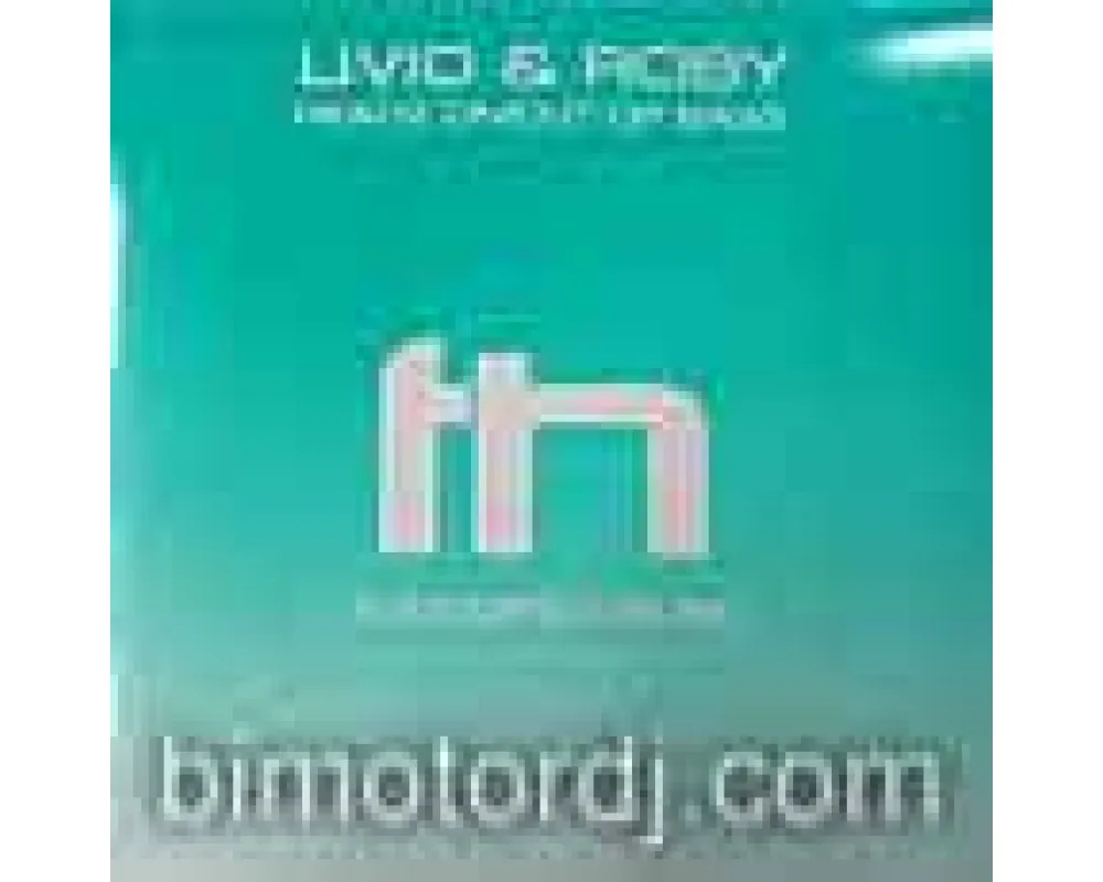 livio & roby - headz on