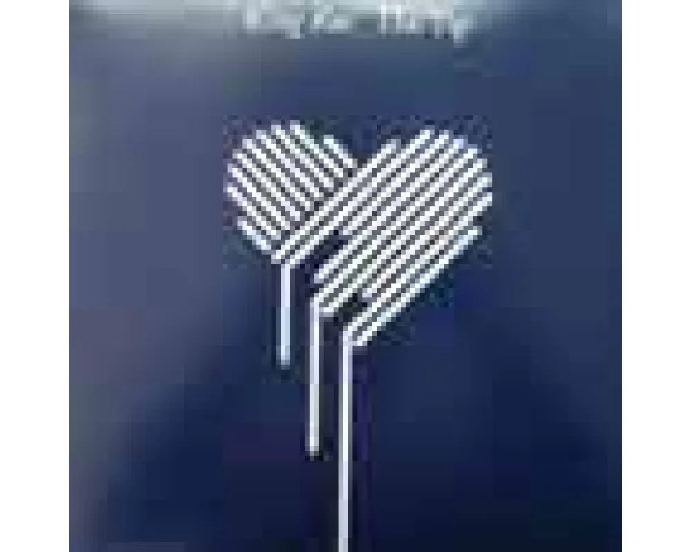 king roc - the tip (tom noville rmx)