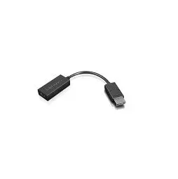 Lenovo 4X90R61023 video cable adapter 0.225 m DisplayPort 4X90R61023
