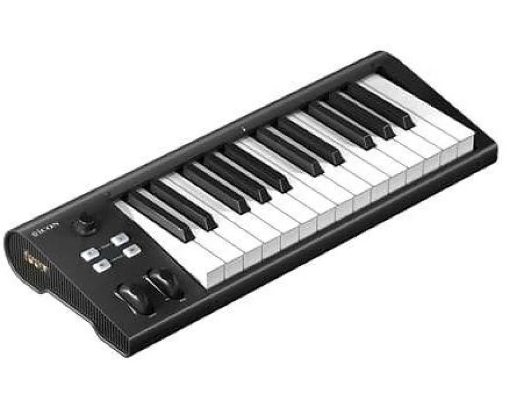 Icon Artist 25