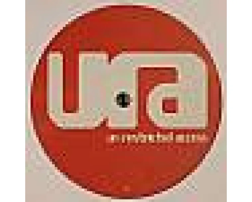 Jaymz Nylon feat. Kyla Sexton - Lonely (Timmy Regisford Rmx)