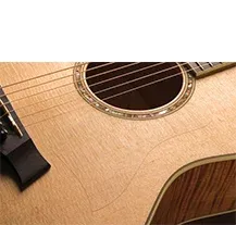 Pickguard Taylor Static Universal