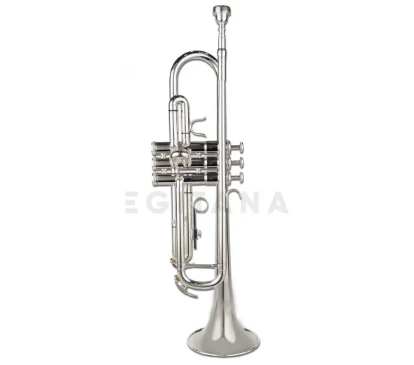 Wisemann DTR-400 SP Trompete Afinação Bb
