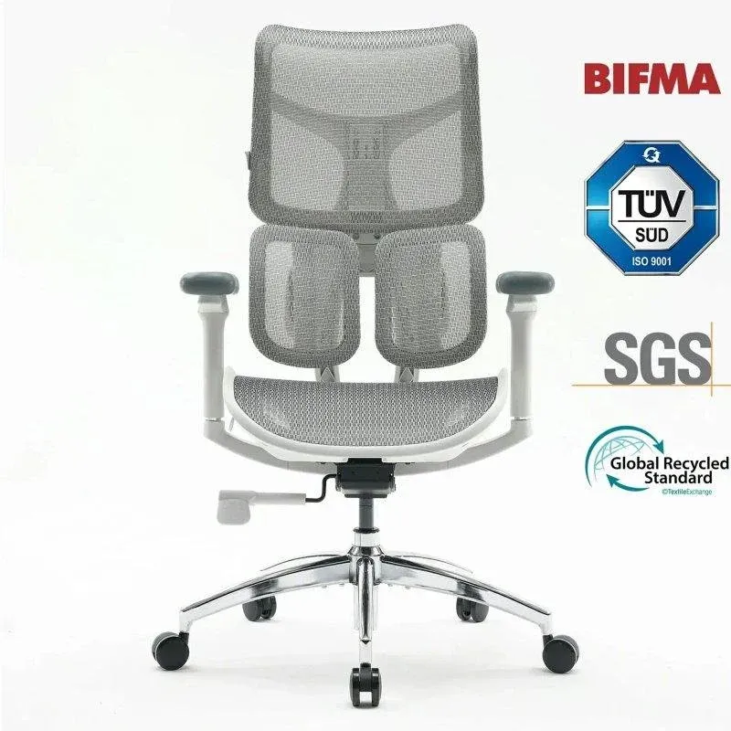 Cadeira Ergonómica Sihoo Doro S100 - Suporte Lombar Duplo Dinâmico