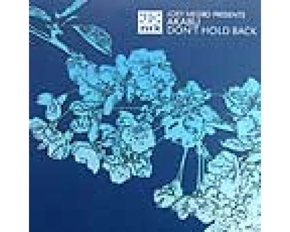 Joey Negro Pres. Akabu - Don’t Hold Back