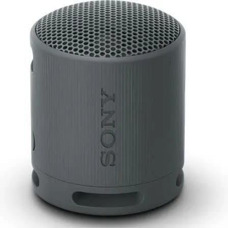 Coluna Portátil SRS-XB100 Bluetooth Sony Preto