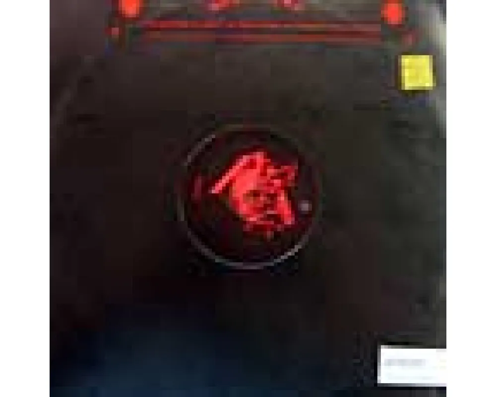 bushwacka - the egyptian