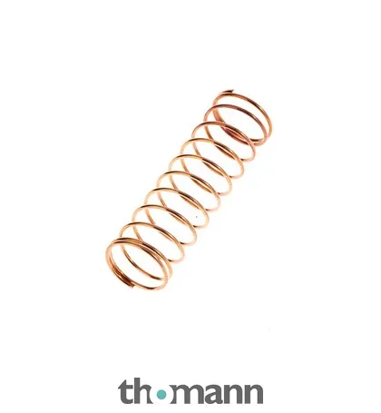 Thomann Valve Spring A385 16,3x50,0