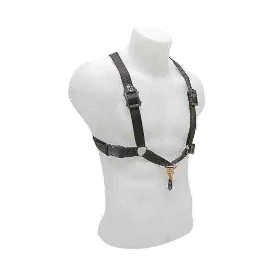 BG CORREIA SAXOFONE ALTO S40MSH