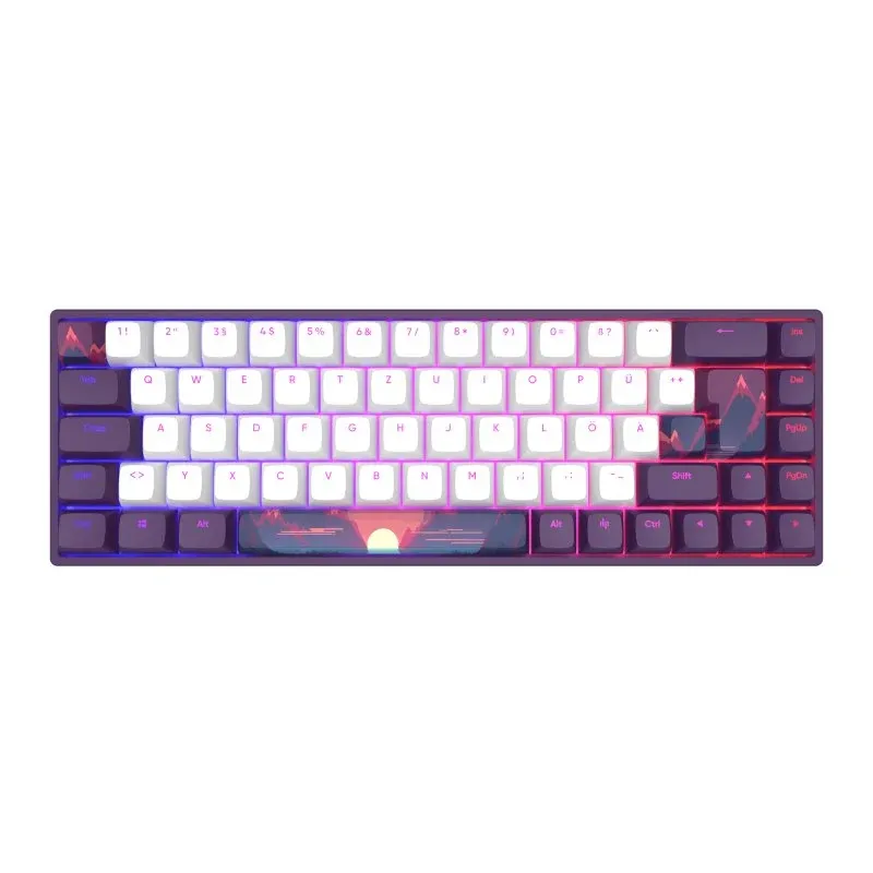 Teclado mecânico Dark Project 65% QWERTZ+Y roxo e branco RGB PBT Double-Shot