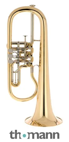 Gerd Dowids BZ-Series Bb-Flugelh. G88 raw