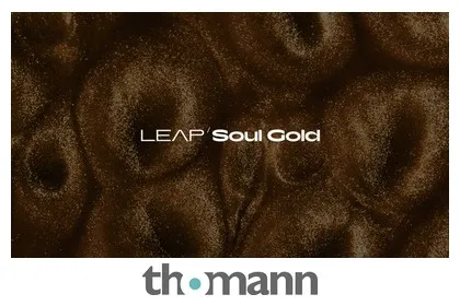 Native Instruments Leap Expansion Soul Gold