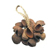 Toca T-SS Seed Shell Shaker