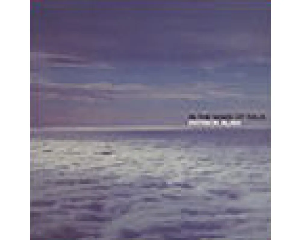 Patrick Alavi - in the name of ivala