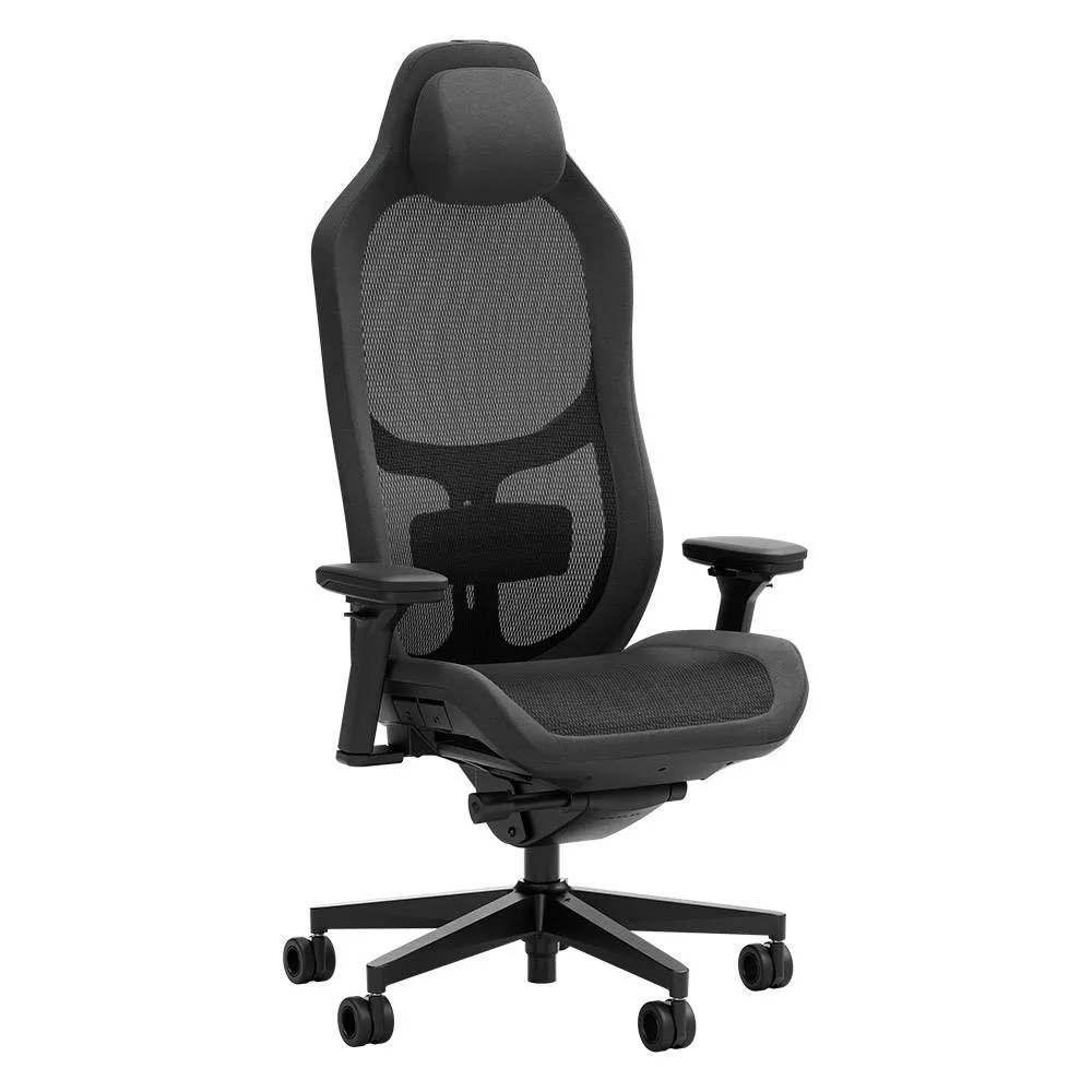 Cadeira de Escritório Ergonómica Fractal Design Refine Mesh Dark