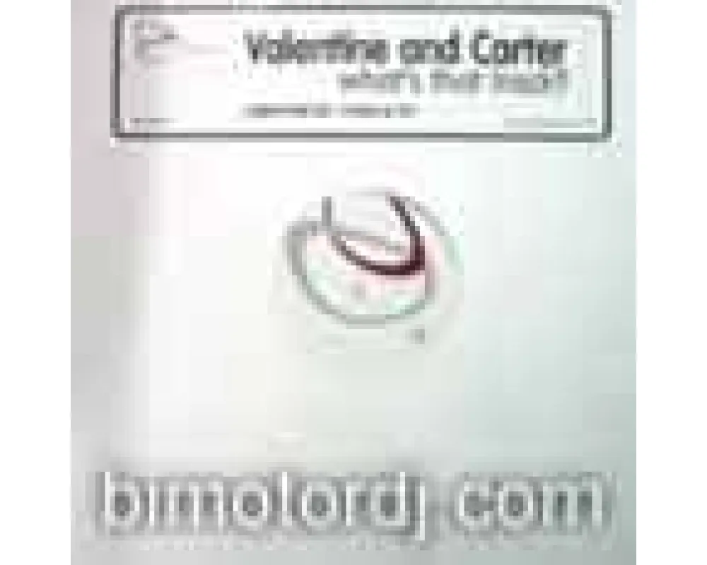 Dave Valentine &amp; Brad Carter - Whats That Track?