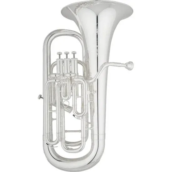 Eastman Professional EEP624S Silver Plated