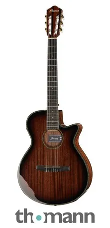 Ibanez AEG74N-MHS B-Stock