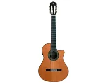 Alhambra 5PCW E8 Natural Fishman Flex M Blend com Saco