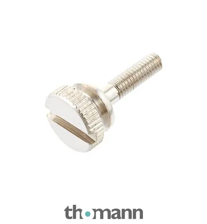 Thomann Lyre Screw 8x16xM2,6 NP