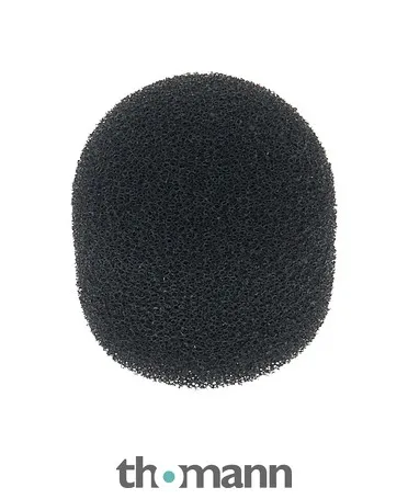 beyerdynamic WS10