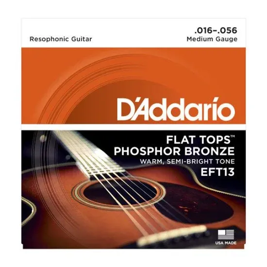 Daddario EFT13 16 56