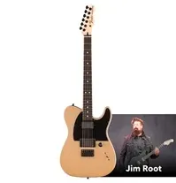 Fender Jim Root Telecaster® EB Edição Limitada Shoreline Gold