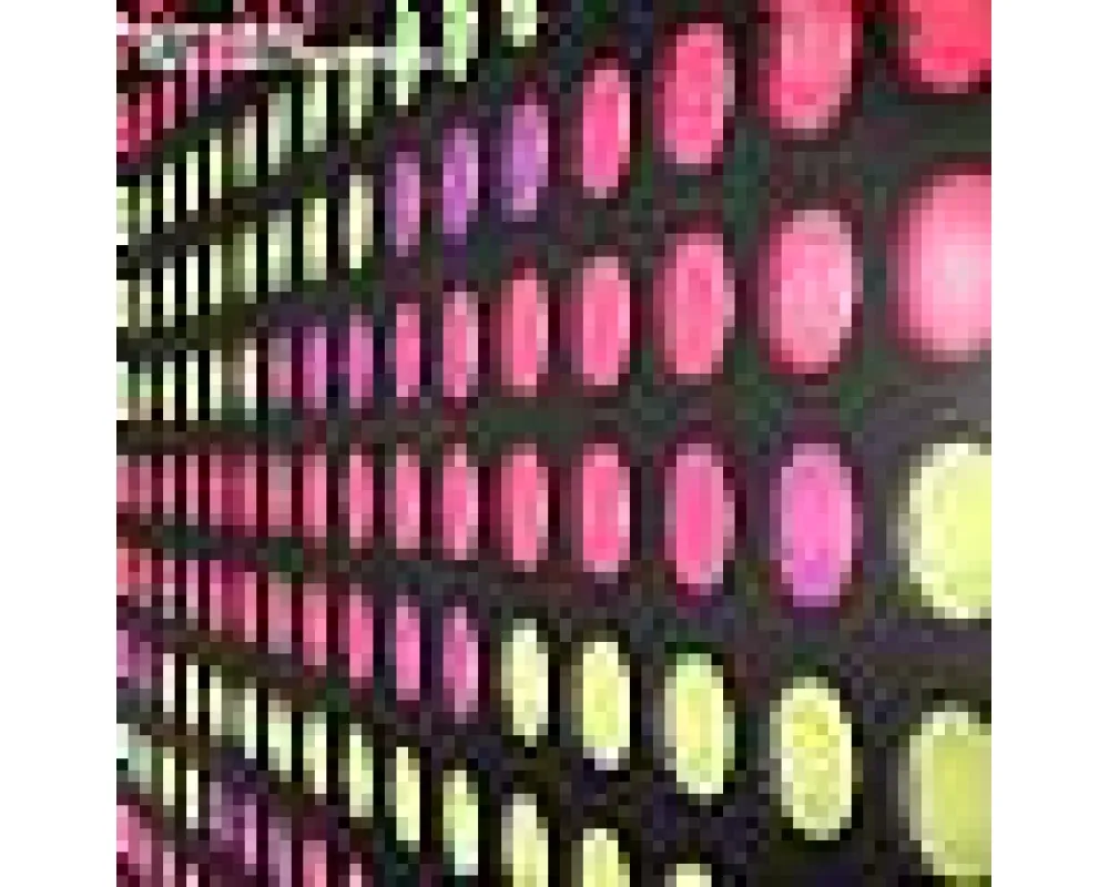 spirit catcher - harmonize - night vision