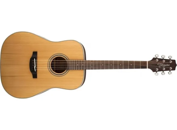 Takamine GD20-NS