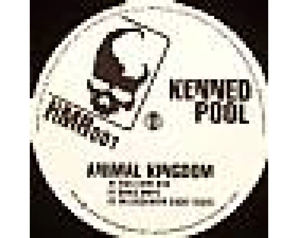 kenned pool - animal kingdom