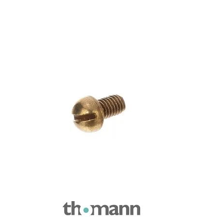Thomann Str. I. Screw 4,5x6,5xM2,6 YB