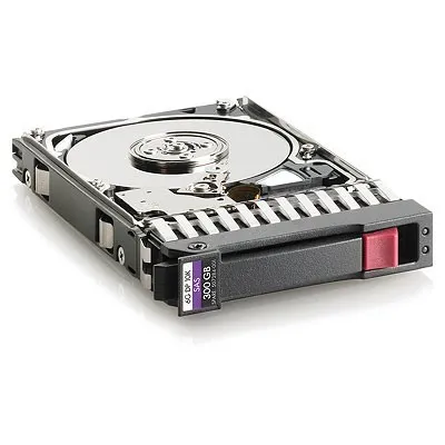 Hewlett Packard Enterprise 300GB hot-plug dual-port SAS 653955-001