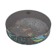 Ocean Drum Remo ET-0216-10 Fish Graphic 16"