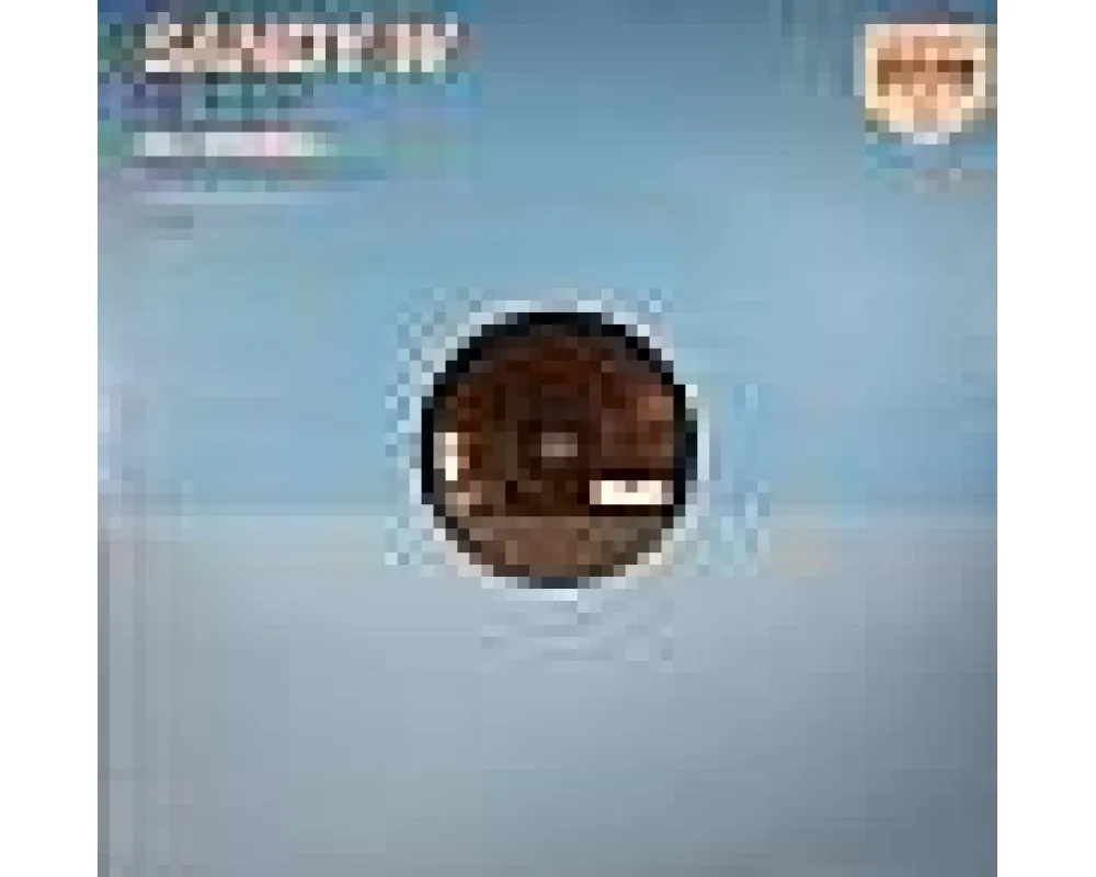 Sandy W - Bleep (Style Of Eye - Pig &amp; Dan Remix)