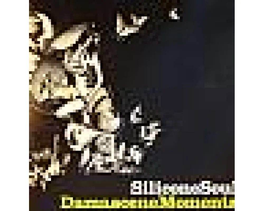 Silicone Soul - Damascene Moments