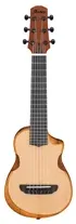 Guitarra Ibanez AUP10N-OPN Natural