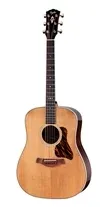 Taylor Gold Label 710e Natural
